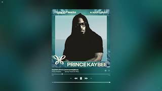 Prince Kaybee at Spring Fiesta DJ Mix  Afro House [upl. by Chelton]