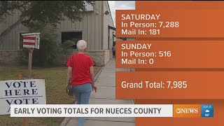 How many Nueces County residents voted this weekend [upl. by Lledroc]