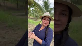 Así es una plantación de coco katherinzedeño [upl. by Jemine]