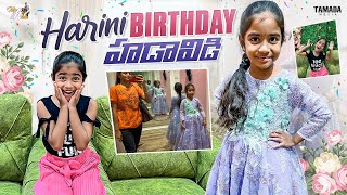 Harini Birthday Preparations  Mahishivan  Tamada Media [upl. by Louanna]