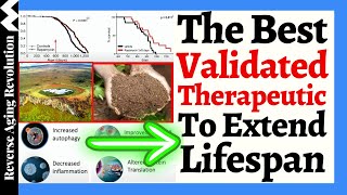 The BEST Validated Therapeutic To EXTEND LIFESPAN [upl. by Longfellow]