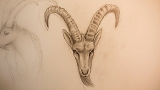 ✐ ZEICHNE EINEN STEINBOCK  HOW TO DRAW A CAPRICORN TIME LAPSE [upl. by Cooperstein]