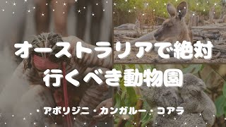 【オーストラリア】カランビン野生動物公園を満喫＃ゴールドコースト [upl. by Bain410]