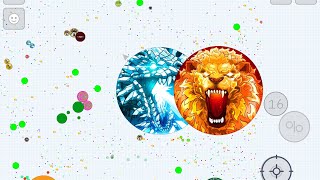 NEW AGARIO SKINS 🐉 amp 🦁 AGARIO MOBILE [upl. by Idolah]