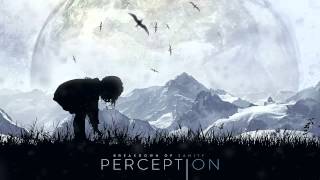 Breakdown of Sanity Perception 2013 Full Album [upl. by Mccafferty460]