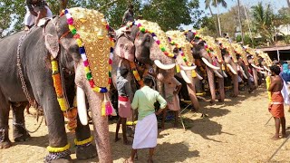 Uthralikavu Pooram 2020  Enkakkad Desam Elephants [upl. by Okikuy]