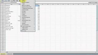 SPSS VideoSeminar  Teil 47 Statistiken  Clusteranalyse [upl. by Theta]