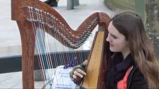 Sam HickmanWelsh Harp PlayerCardiff Street Entertainer [upl. by Selhorst]