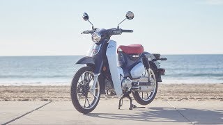 2019 Honda Super Cub C125 Review  MC Commute [upl. by Iddo932]