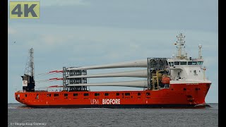 LADY MATHILDE  Shipspotting Germany 🇩🇪 IMO 9904338  River Elbe near City Otterndorf  4K VIDEO [upl. by Mccartan]