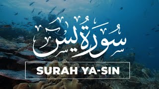 Best Surah Yasin Full Yaseen سورة يس  Recitation Marvelous Beautiful Voice  QURAN ZIKR [upl. by Colbye423]