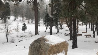 Big Bear Snow Drive and snow update JANUARY 14 2019 Bring it on Mother Nature [upl. by Ynattyrb613]