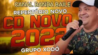 grupo xodo ao vivo 2022 [upl. by Eisej131]