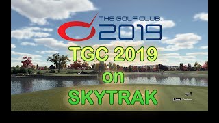 The Golf Club TGC 2019 SKYTRAK Golf Simulator Review [upl. by Orms860]