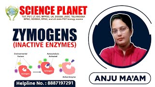 Zymogens Inactive Enzymes Explain by Anju Mam of Science Planet [upl. by Siva]