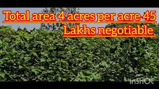 call9866041425 4acres👈 land forsale 👉45lakhs per acre Sangareddy zaheerabad Raikord mandal🏬 [upl. by Acinot]