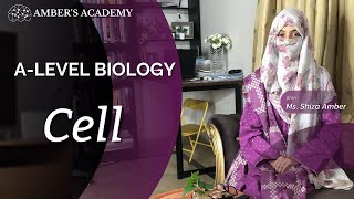 A Level Biology Cells Part 3  Cambridge 9700  Ms Shiza Amber [upl. by Eicnan129]