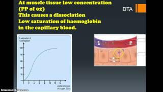 Dissociation curve screencast for A level PE [upl. by Kancler573]