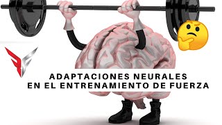 ADAPTACIONES NEURALES  ENTRENAMIENTO DE FUERZA [upl. by Enyrehtac]