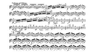 Violin Concerto in E minor Op 64  Felix Mendelssohn Score [upl. by Oiramed]