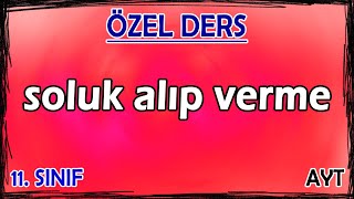 25 Solunum Sistemi 1  Soluk Alıp Verme  Özel Ders 11 Sınıf [upl. by Alegnave]