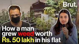 Man grows weed worth Rs 50 lakh in his flat [upl. by Zoi]