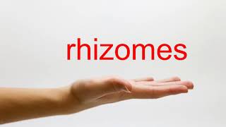 How to Pronounce rhizomes  American English [upl. by Kohn]