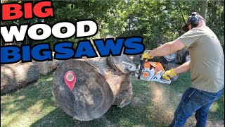 Big Wood Requires Big Stihl Saws [upl. by Tapes27]