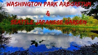 WASHINGTON PARK ARBORETUM AND SEATTLE JAPANESE GARDEN [upl. by Mahala234]