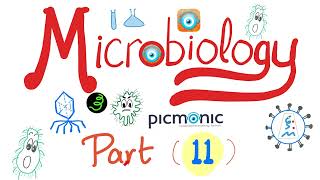 Microbiology with Picmonic  Shigella EHEC HUS Yersinia enterocolitica amp pestis  Part 11 [upl. by Anuahc]