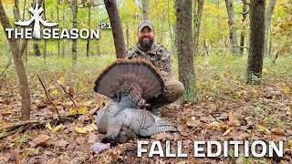 FALL TURKEY HUNTING  TARGETING LONGBEARDS AND GOBBLER YELPING LESSON FROM AN EXPERT [upl. by Manup]