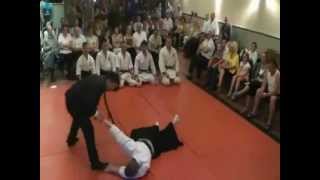 Hakkoryu Jujutsu Demonstration [upl. by Delwin]