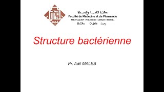 Structure bactérienne [upl. by Havener]