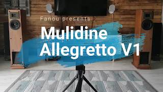 Mulidine ALLEGRETTO V1 [upl. by Harihat]