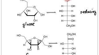 Reducing and Nonreducing Sugars [upl. by Nirek]