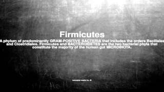 Medical vocabulary What does Firmicutes mean [upl. by Nellad984]