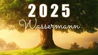 WASSERMANN 2025♒️Große Jahresvorschau [upl. by Ecydnarb]