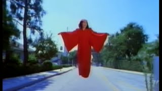 The Breeders  Divine Hammer Official Video [upl. by Nivej]