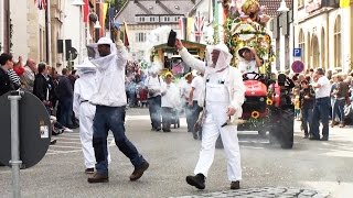 Bienenverein Besigheim beim Festzug Winzerfest Besigheim 2015 [upl. by Ailedo]