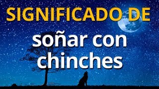 Qué significa soñar con chinches 💤 Interpretación de los Sueños [upl. by Leena]