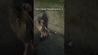 Red Dead Redemption 2 guide [upl. by Gardiner]