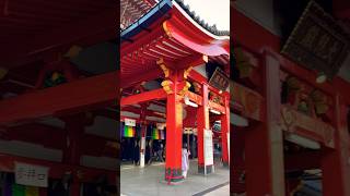 Travel to Japan Old temple rebuilt and looking brand new ⛩️ [upl. by Llenil]