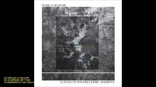 Markus Masuhr  01 Chords of the Whispering Meadow [upl. by Nosille]