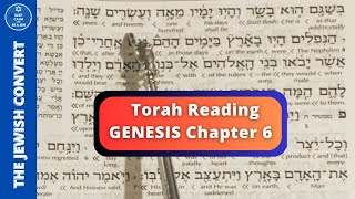 Genesis Chapter 6  Torah Reading in Hebrew amp English Translation  TORAH STUDY [upl. by Ainolloppa]