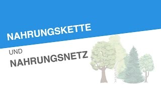 NAHRUNGSKETTE UND NAHRUNGSNETZ  Biologie  Ökologie [upl. by Jit]