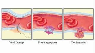 Introduction to Microsurgery Part 1 [upl. by Alakim]