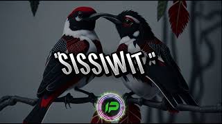 SISSIWIT LYRICS  IGOROT SONG [upl. by Hara]