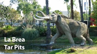 La Brea Tar Pits and Museum in Hancock Park Los Angeles [upl. by Yrrehc514]