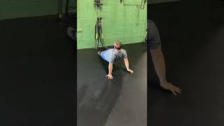 Plank Flips  Advanced Shoulder Instability Physical Therapy Exercise [upl. by Akenaj]