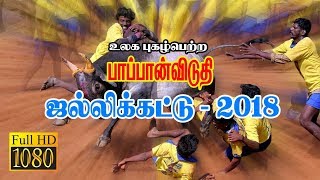 Pappanviduthi Jallikattu 2018 Part 12 [upl. by Woodall853]